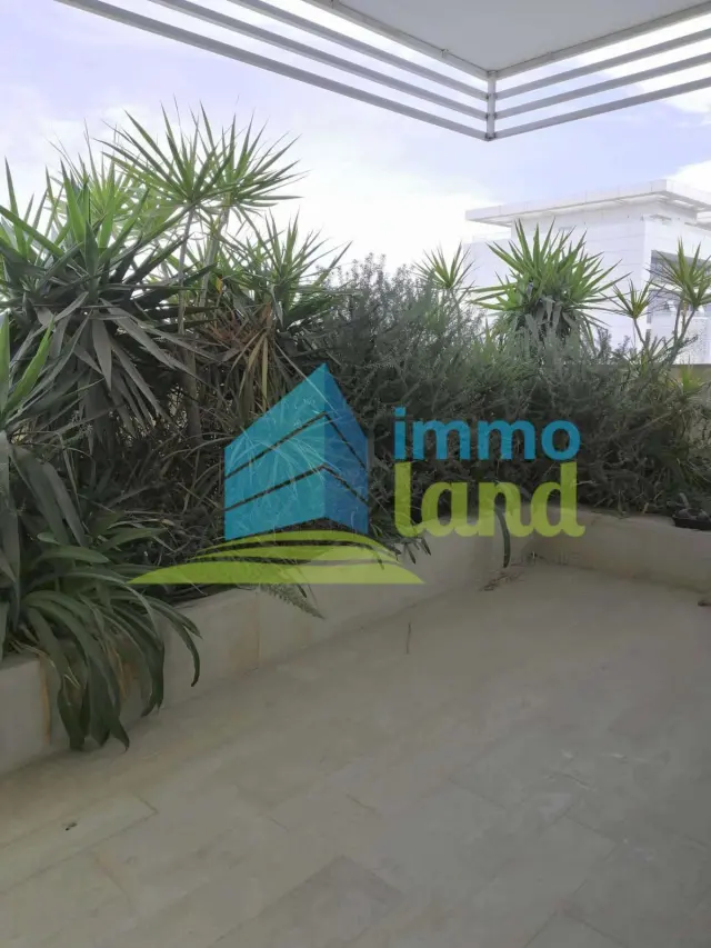 A louer une villa s+3 avec jardin a la marsa — photo 2