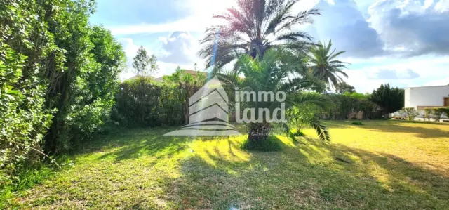 Villa plein pied en S+3 avec piscine à Gammarth — photo 4