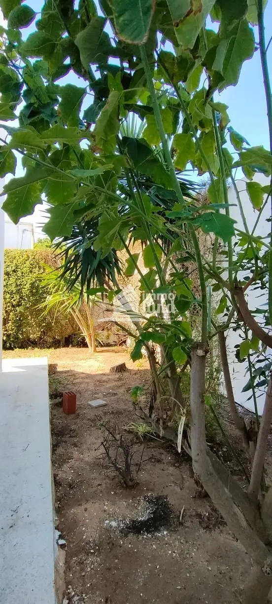 Villa S+6 avec jardin à Gammarth supérieur — photo 29
