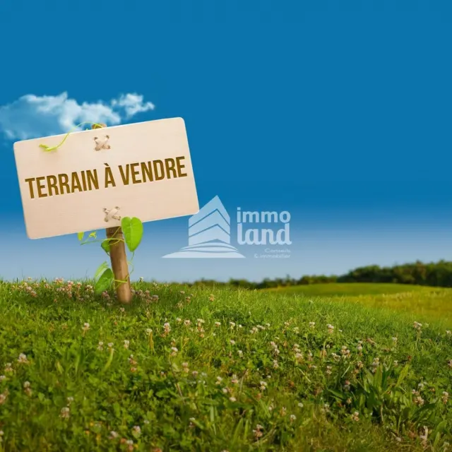 Deux lots de terrain à Riadh Andalous