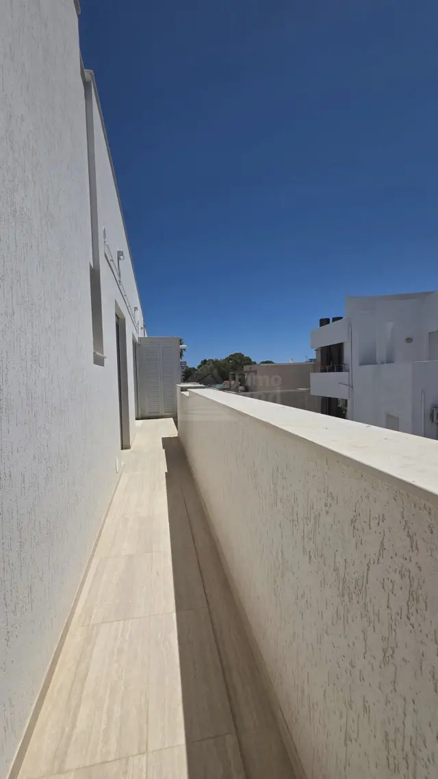 Appartement s+2 avec terasse direct promoteur — photo 13