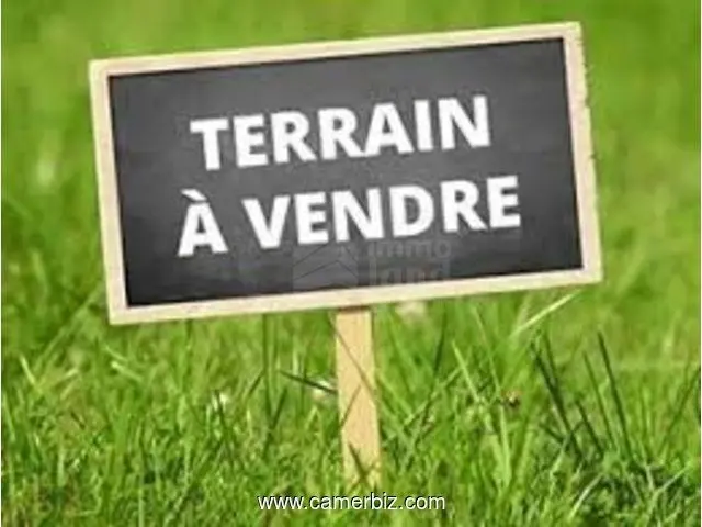 Lot de terrain de 211m2 à résidence flamant rose raoued